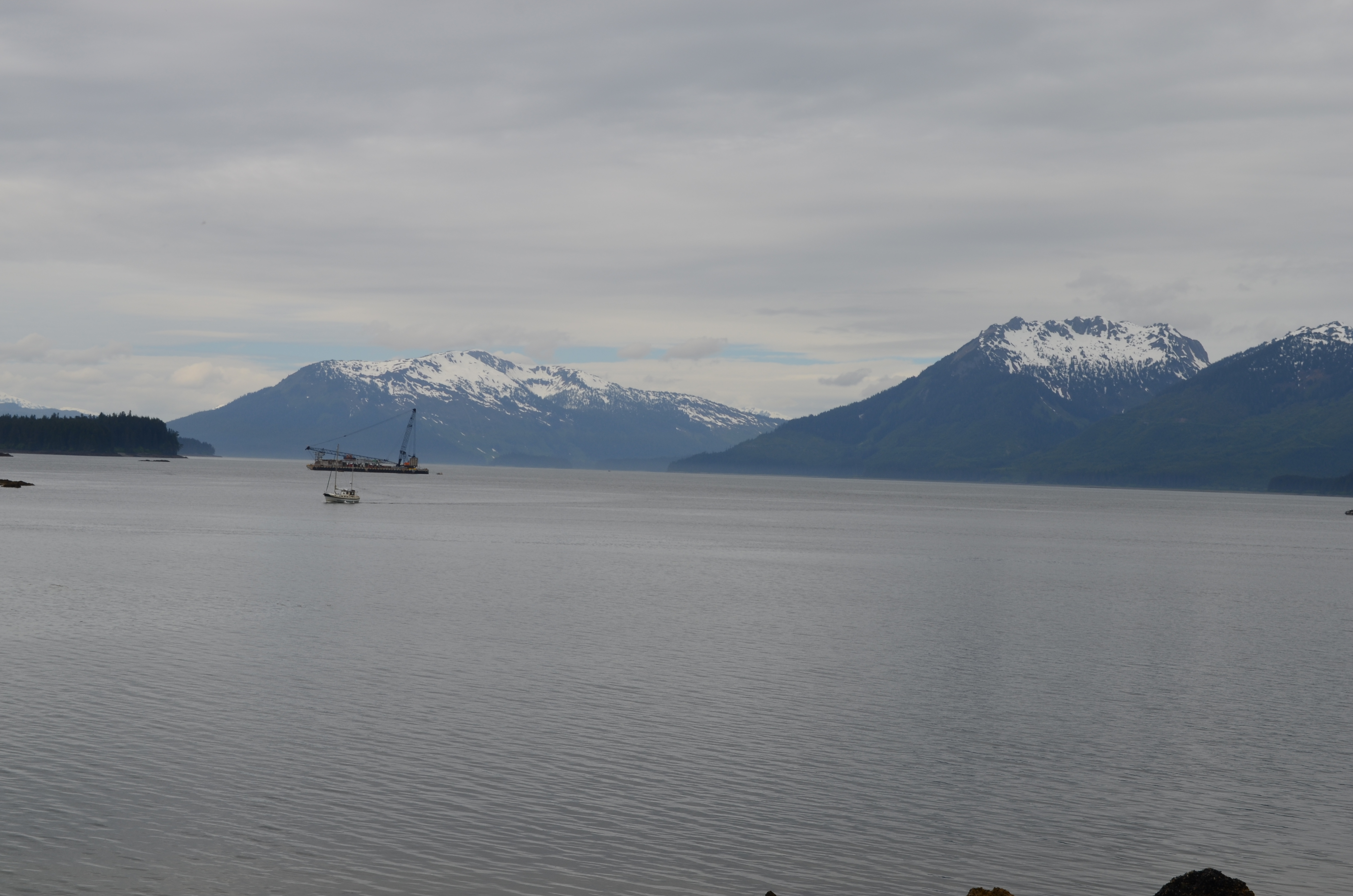 ./2017/08 - Alaska Cruise/10 - Icy Strait Point/DSC_0350.JPG